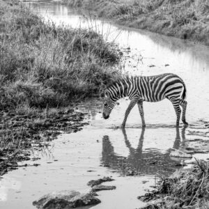 WONDERS OF OUR PLANET by Camille Massida Photography